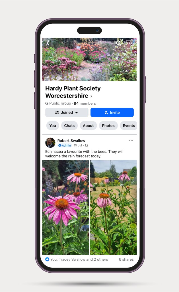 Image of mobile phone showing HPS Facebook page