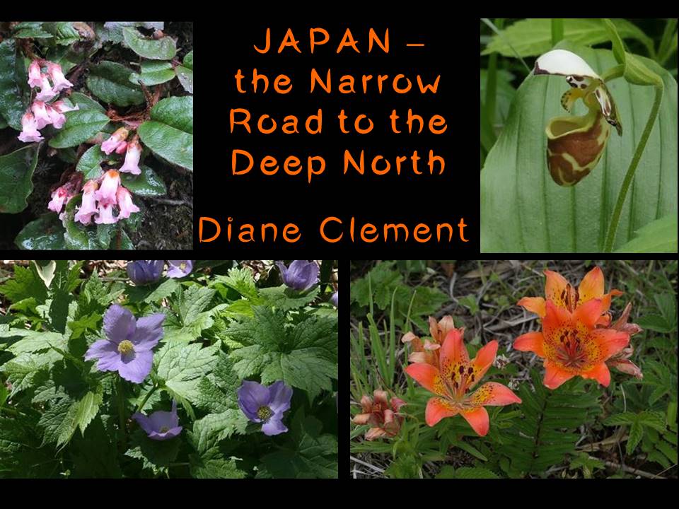 A promotional poster featuring phtographs of four alpine plants